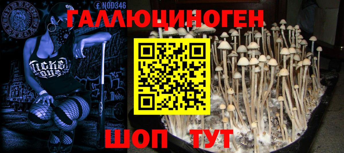 Галлюциногенные грибы MAGIC MUSHROOMS Орск
