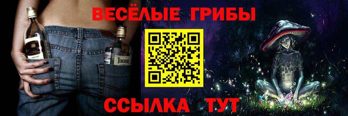 Орск  Галлюциногенные грибы Magic Shrooms  Вход с VPN 